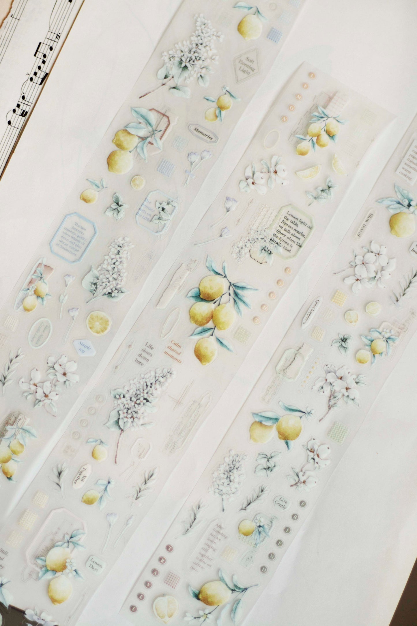 Loidesign Journey in Golden Light Kiss-Cut PET Tape