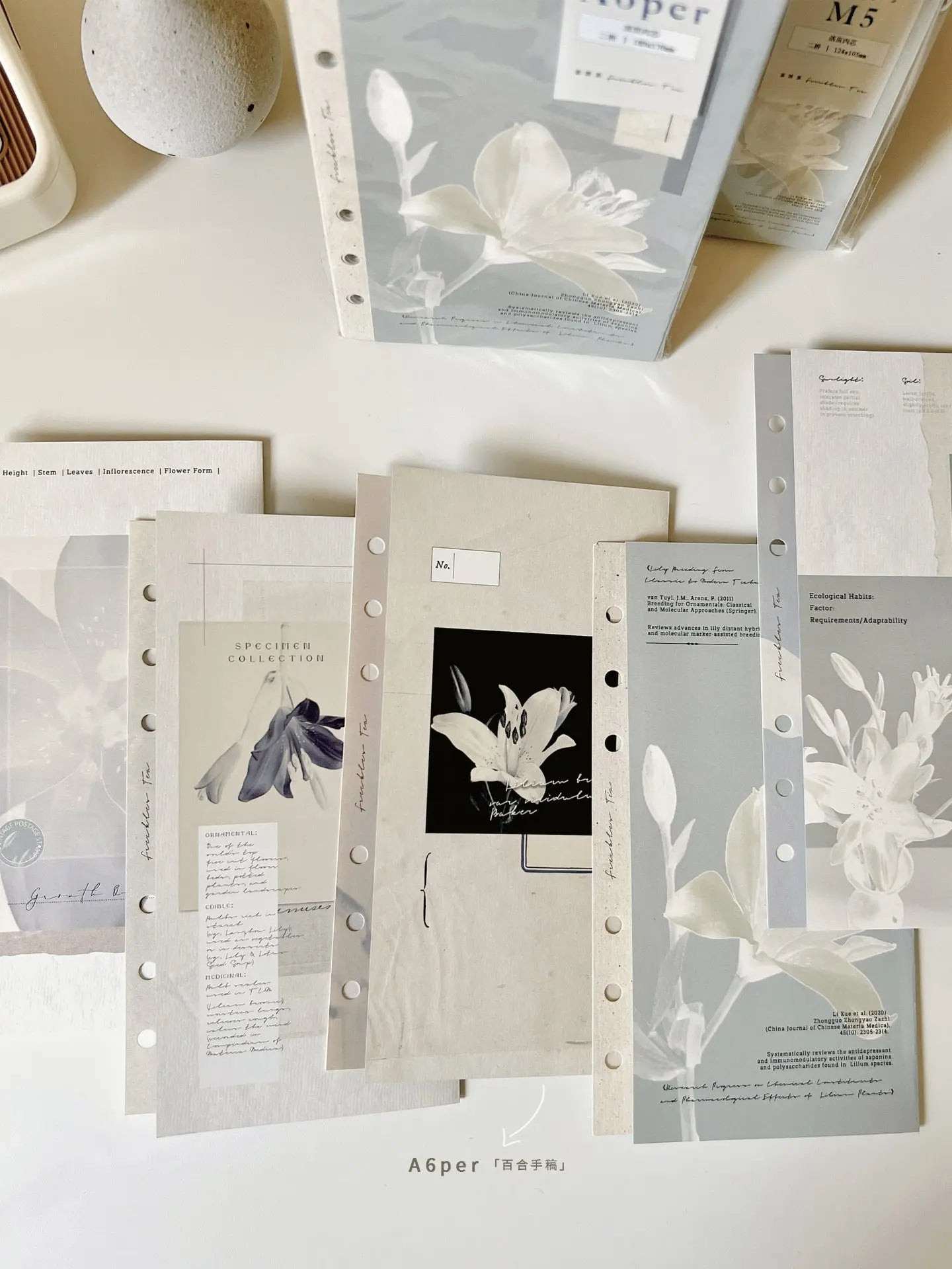 Freckles Tea Vol.5 Bi-fold Loose Leaf Refills for Ring Binder - Lily Manuscript