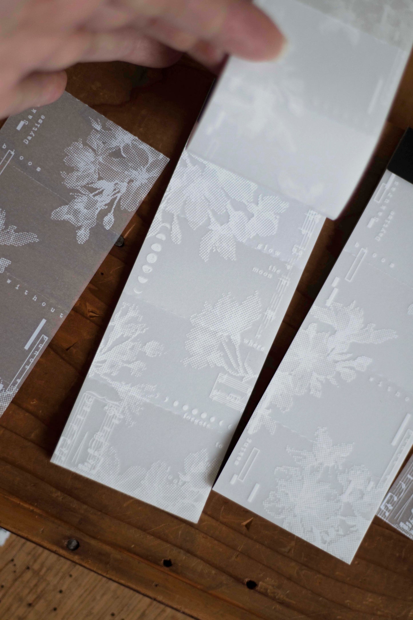 Loidesign Tracing Paper Memo Book - Blooming Order - Day and Night Sakura
