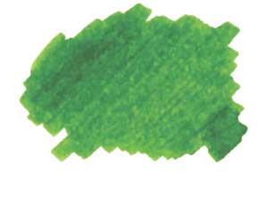 Nagasawa Kobe Bottled Ink - No.19 Minato-gawa Lime