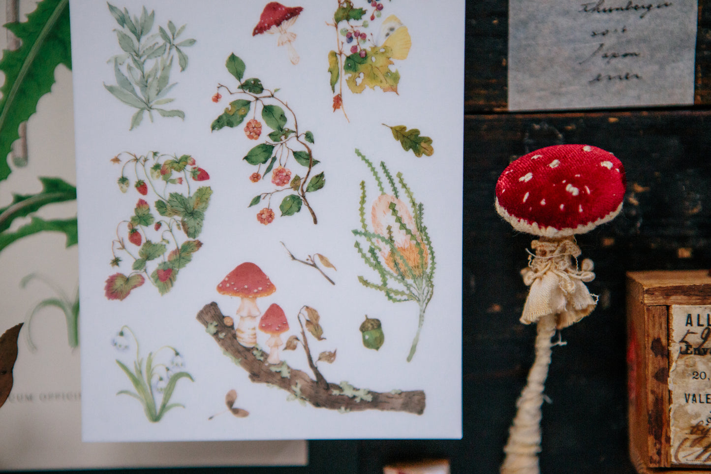 OURS Wild Wreath II Print-on Sticker Set