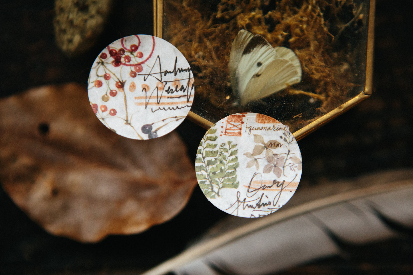 OURS Fern Print-on Sticker Set, 2 sheets