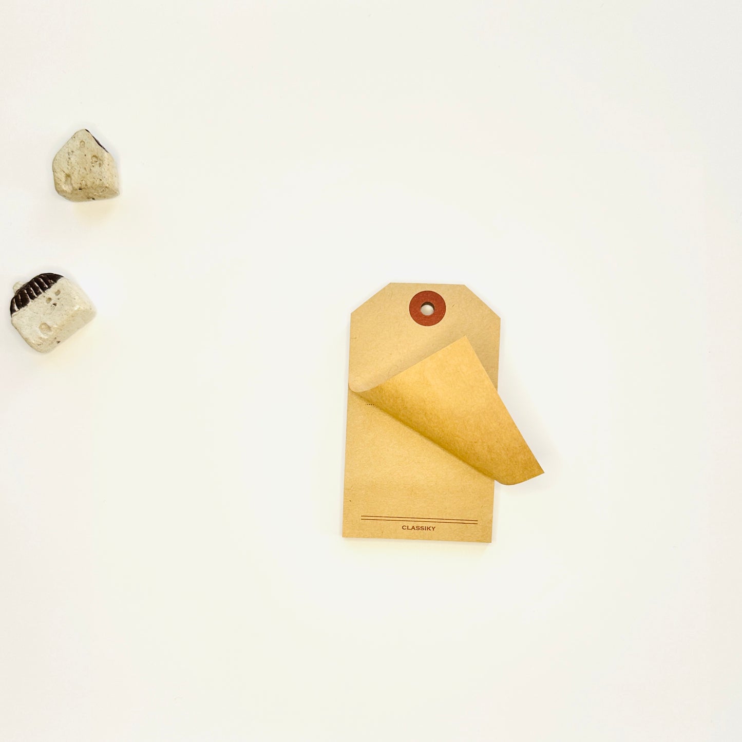 Classiky Kraft Paper Sticky Notes - Luggage Tag