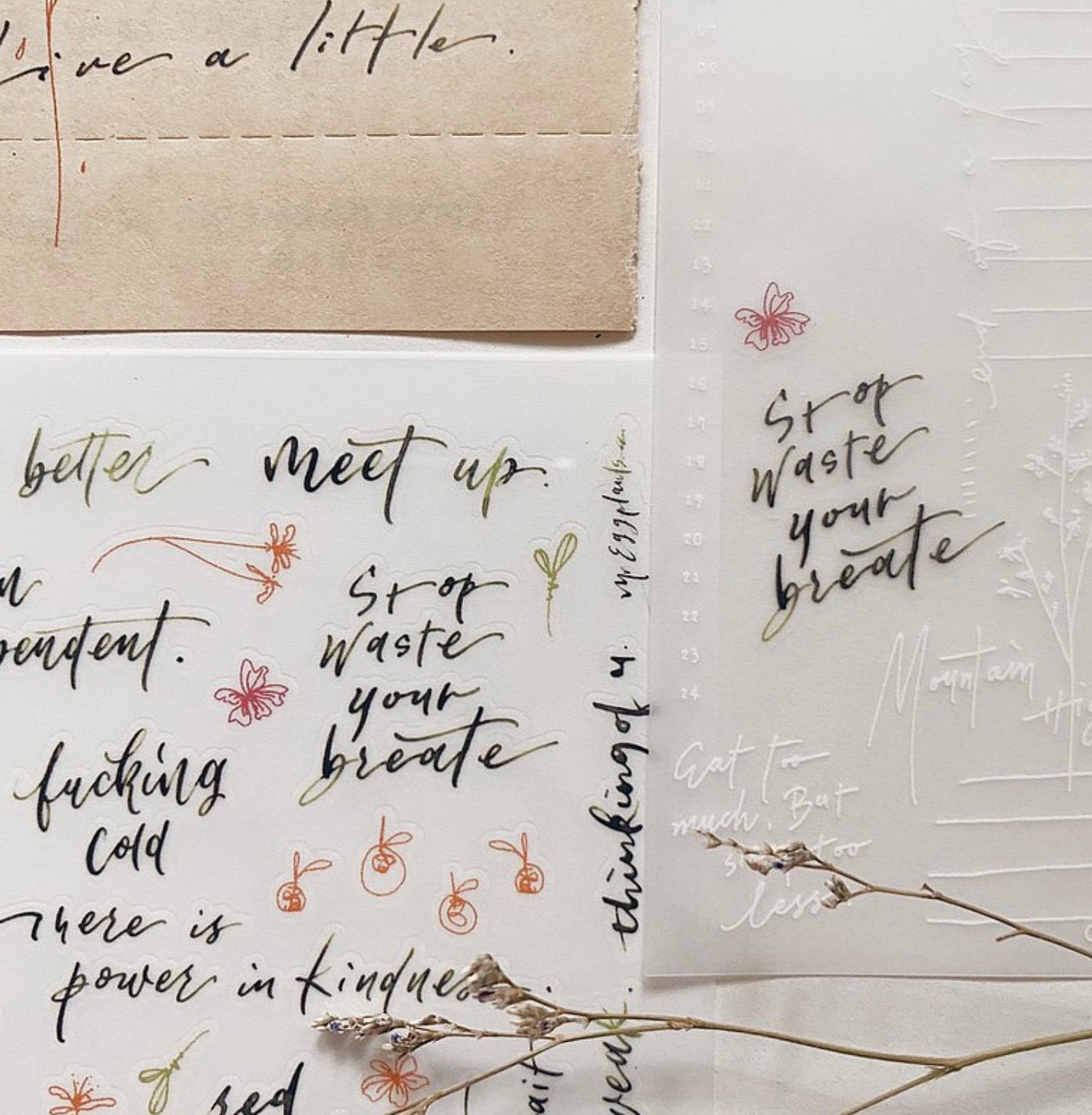 Mr. Eggplants Print-On Stickers - Handwriting (Matcha)