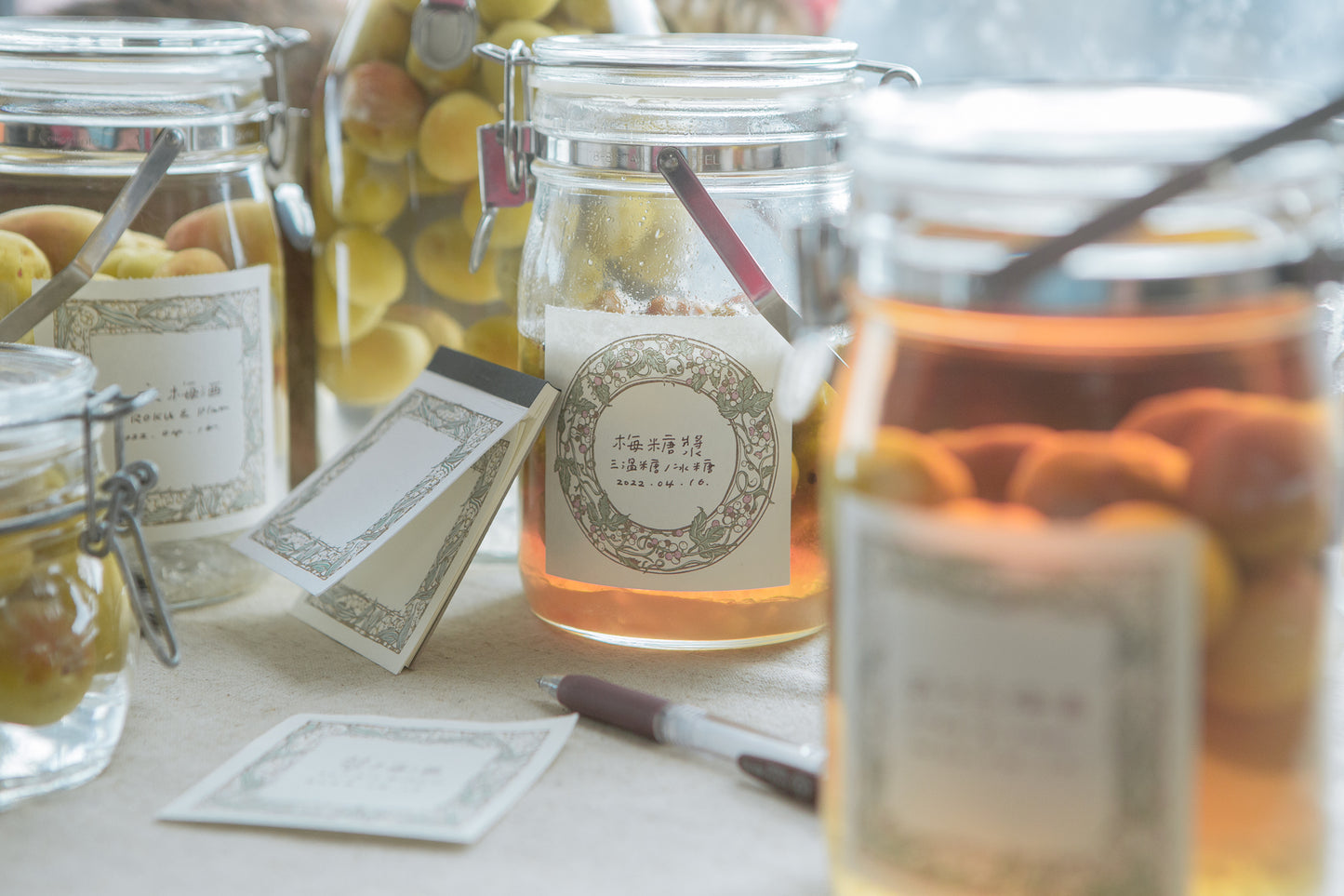 OURS Wild Grape Frame Letterpress Book