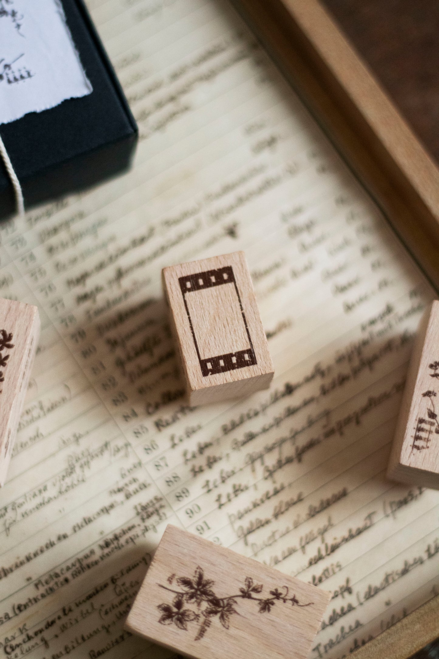 Loidesign Rubber Stamp - Life Collection, 5 designs