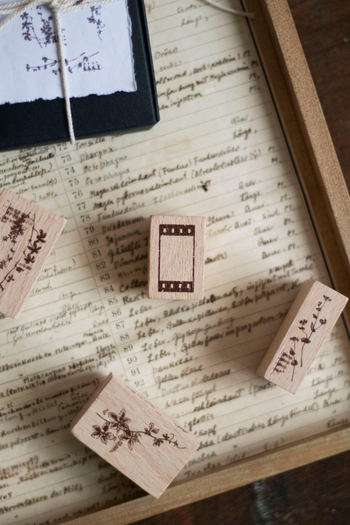 Loidesign Rubber Stamp - Life Collection, 5 designs