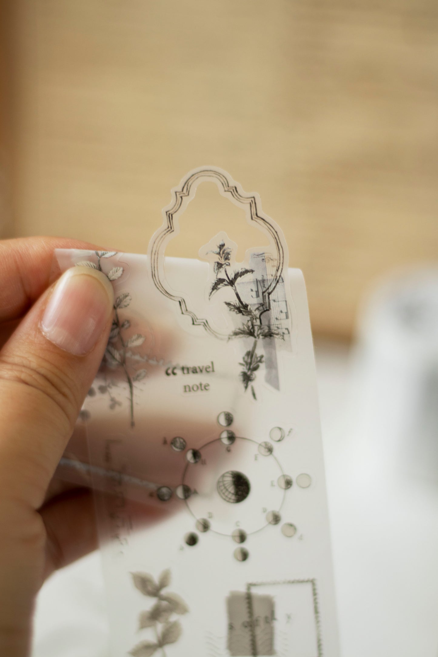 Loidesign Collected Moments Kiss-Cut PET Tape
