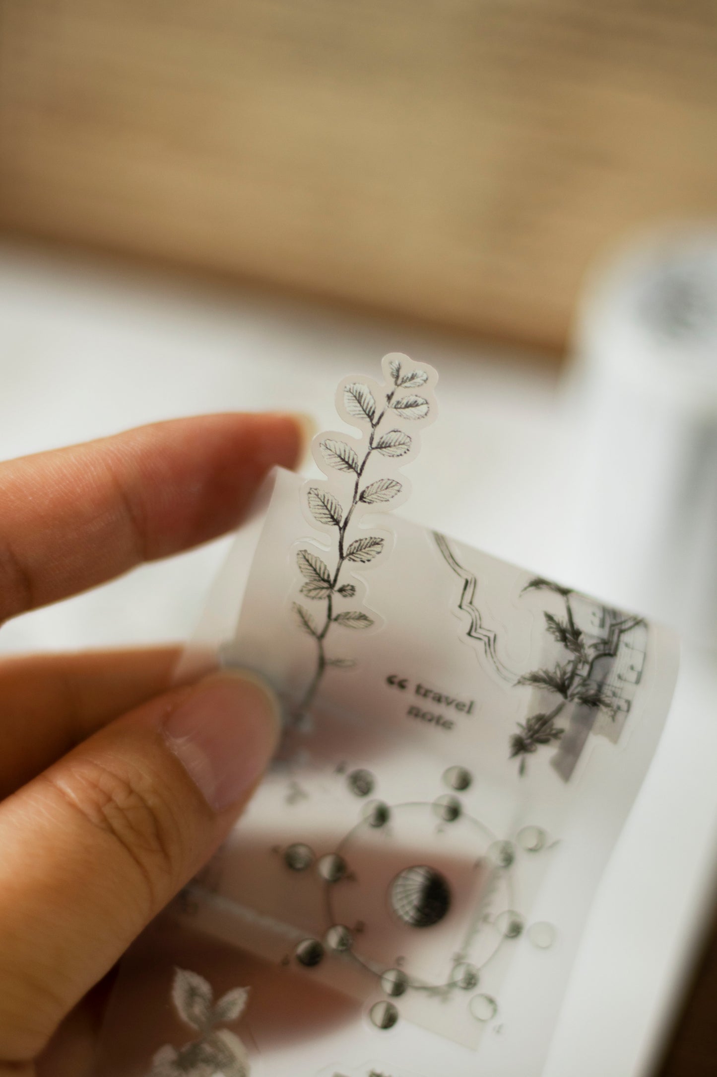 Loidesign Collected Moments Kiss-Cut PET Tape