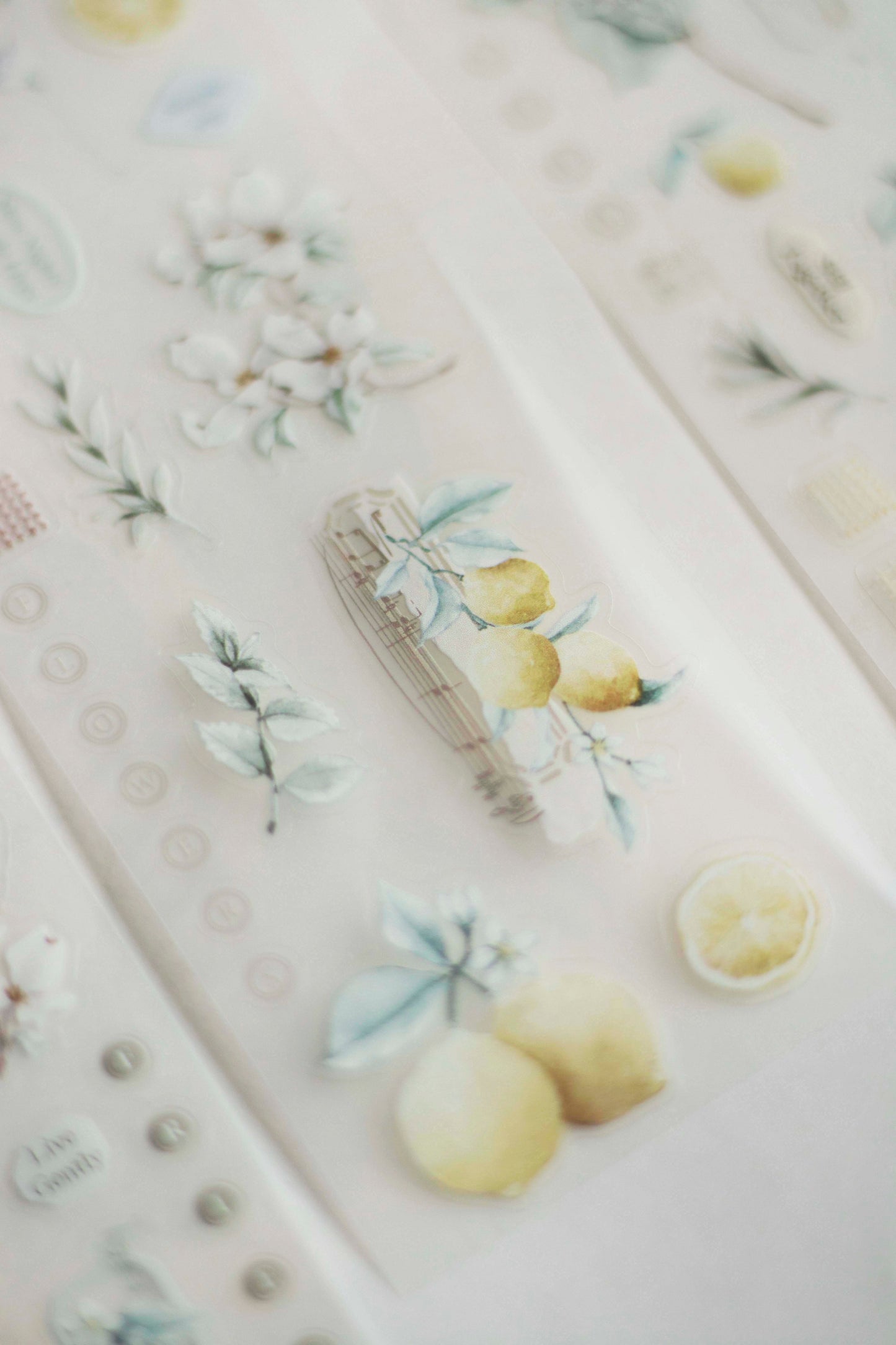 Loidesign Journey in Golden Light Kiss-Cut PET Tape