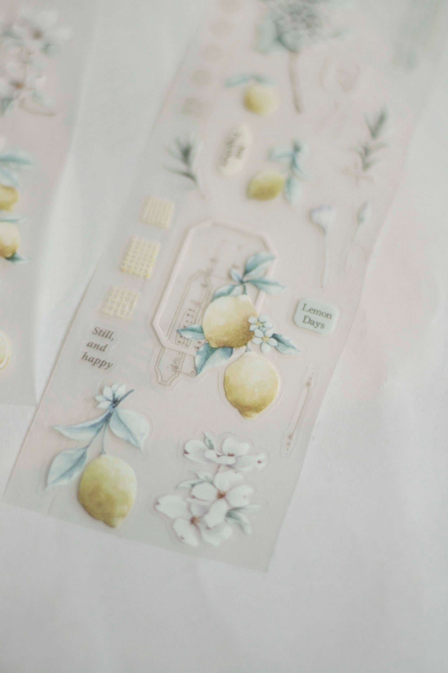 Loidesign Journey in Golden Light Kiss-Cut PET Tape