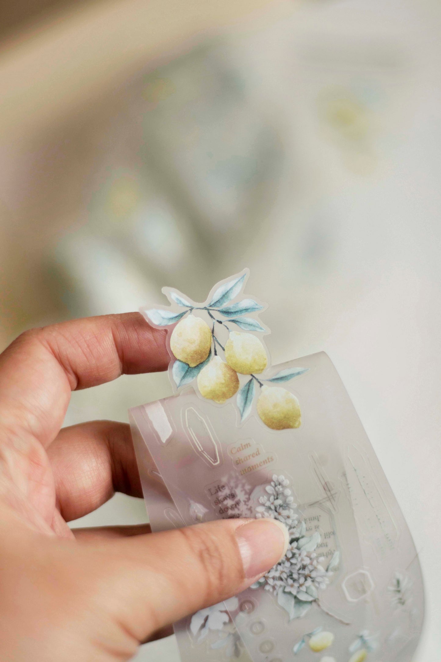 Loidesign Journey in Golden Light Kiss-Cut PET Tape