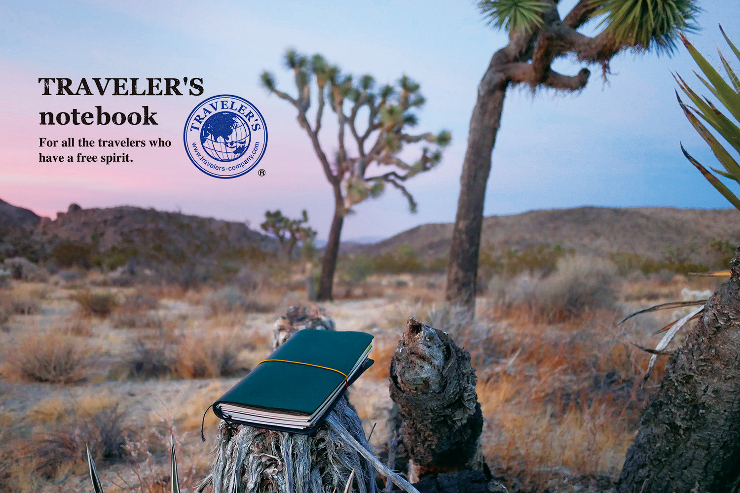 Traveler's Notebook in a background of wild plateau