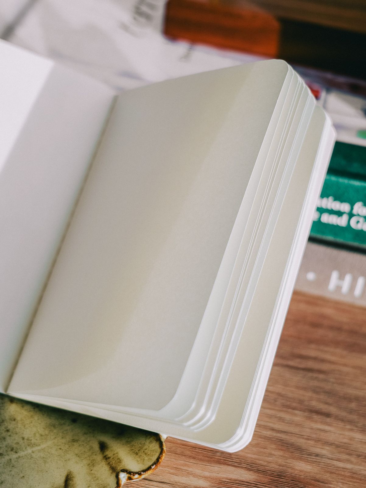 Meow Illustration Passport-sized Gold Foil Slim Notebook - Starry Night