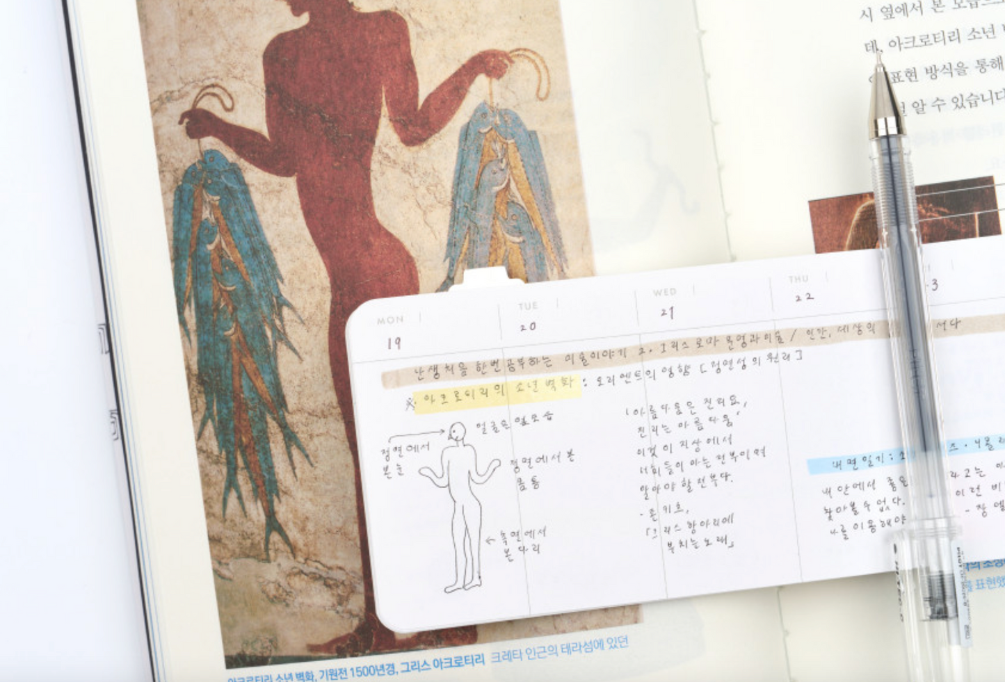 analogue keeper 6-month Handy Diary - undated, 3 colors