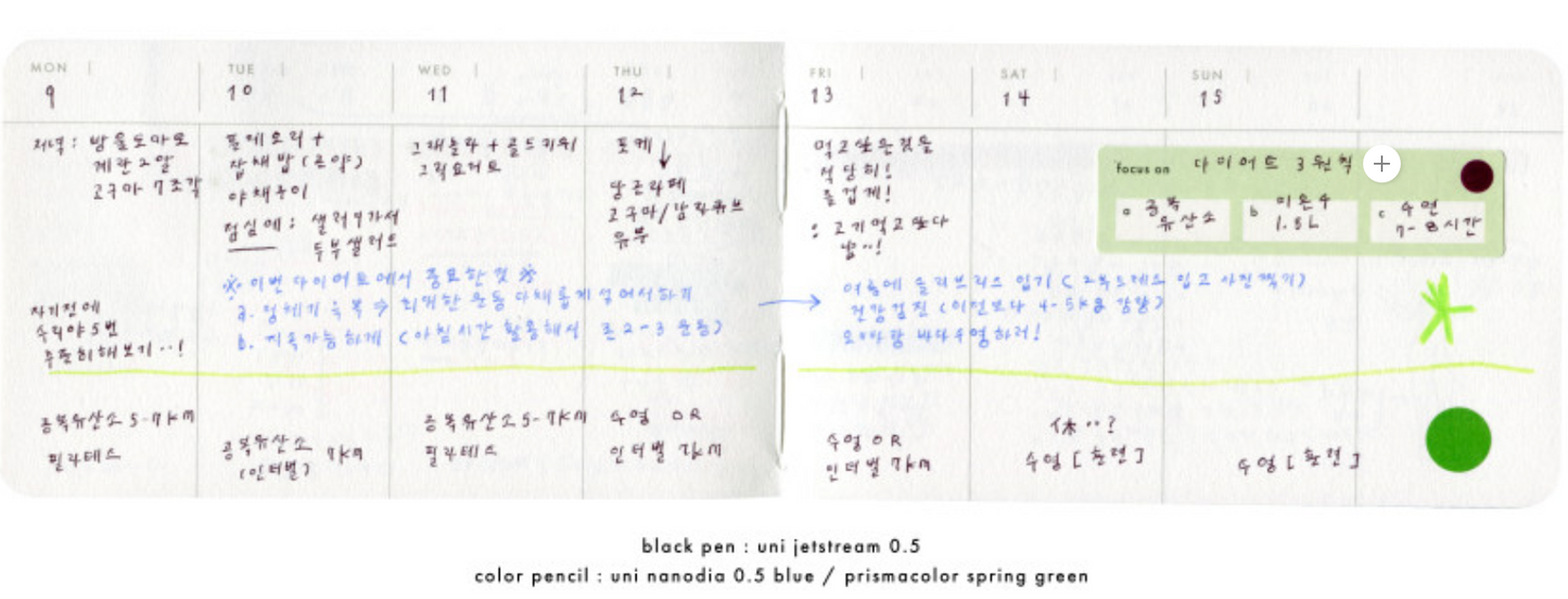 analogue keeper 6-month Handy Diary - undated, 3 colors