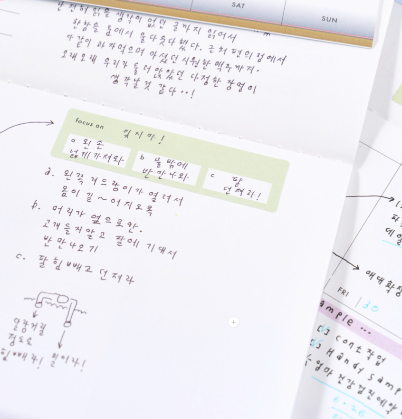 analogue keeper Beginning Sticker - 4 designs