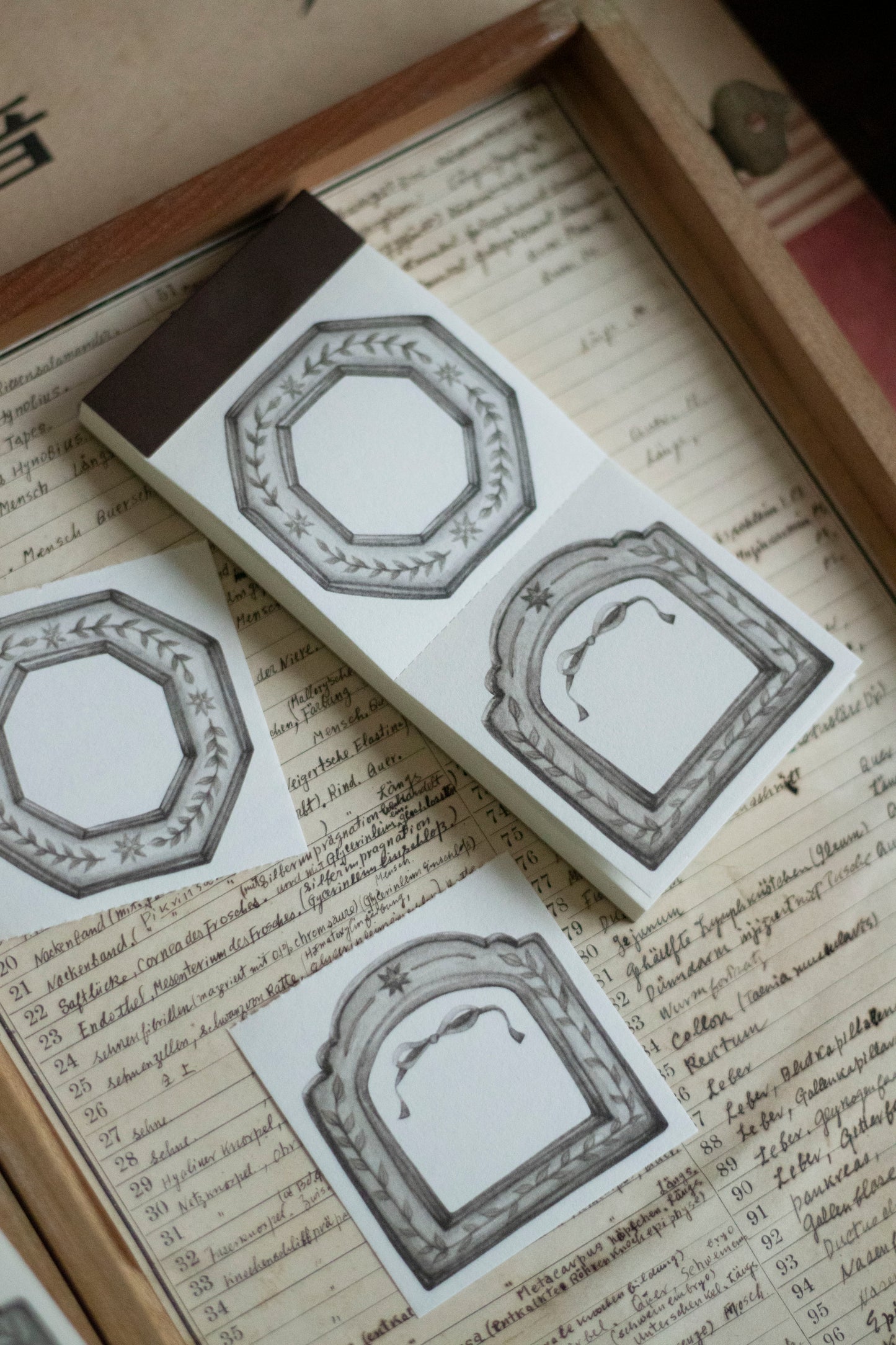 Loidesign Label Book - Star Frame