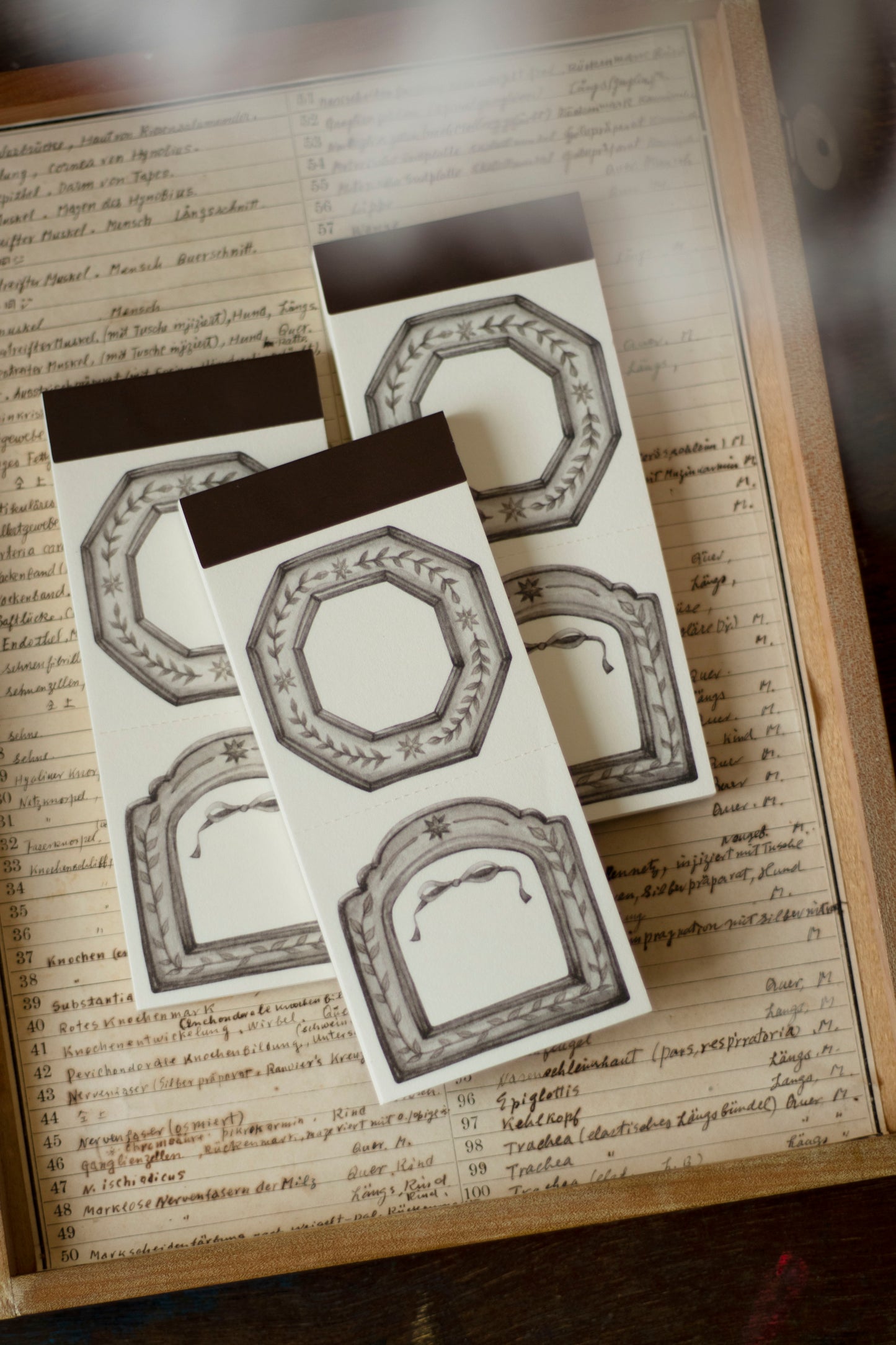 Loidesign Label Book - Star Frame