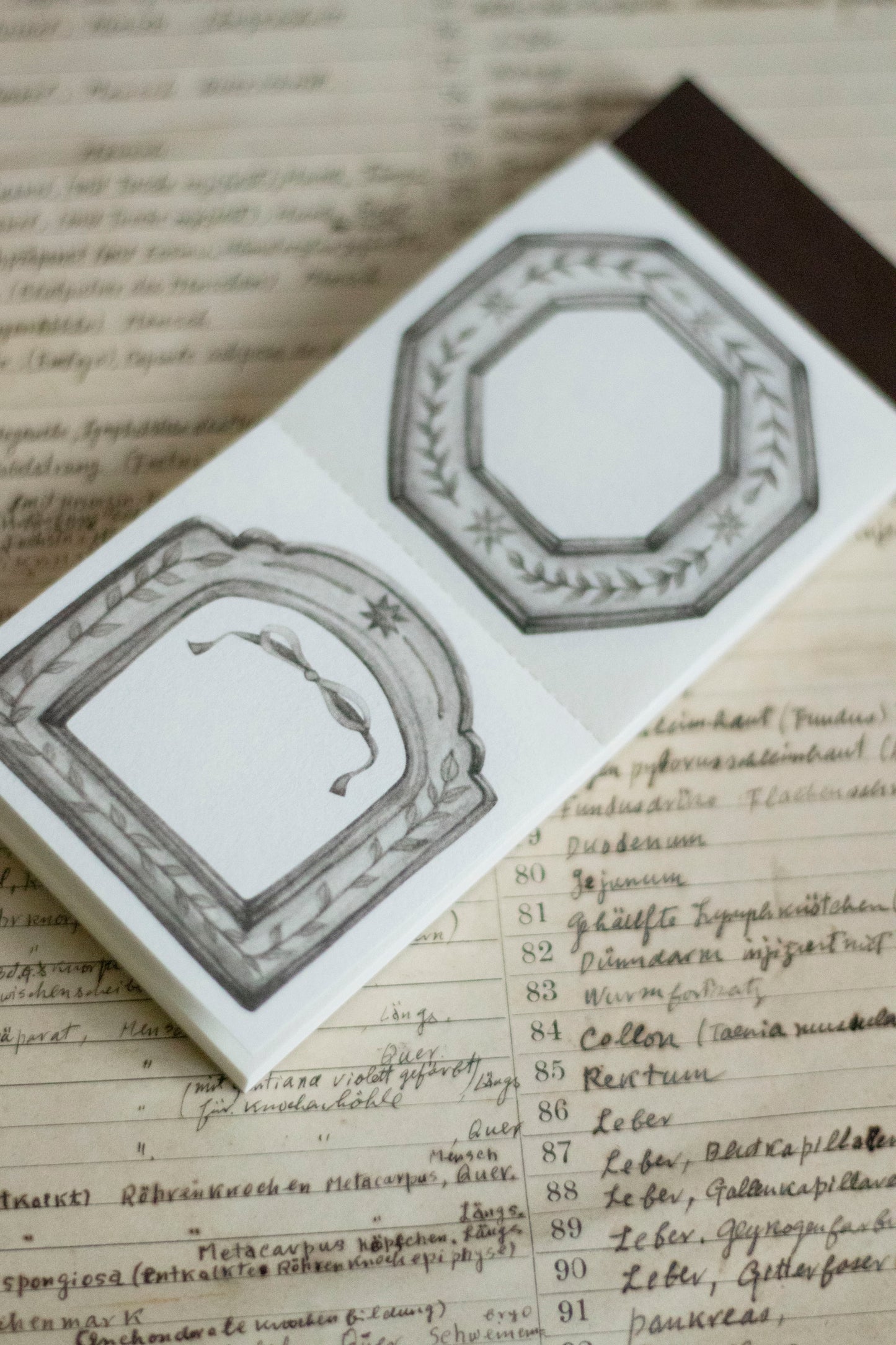 Loidesign Label Book - Star Frame