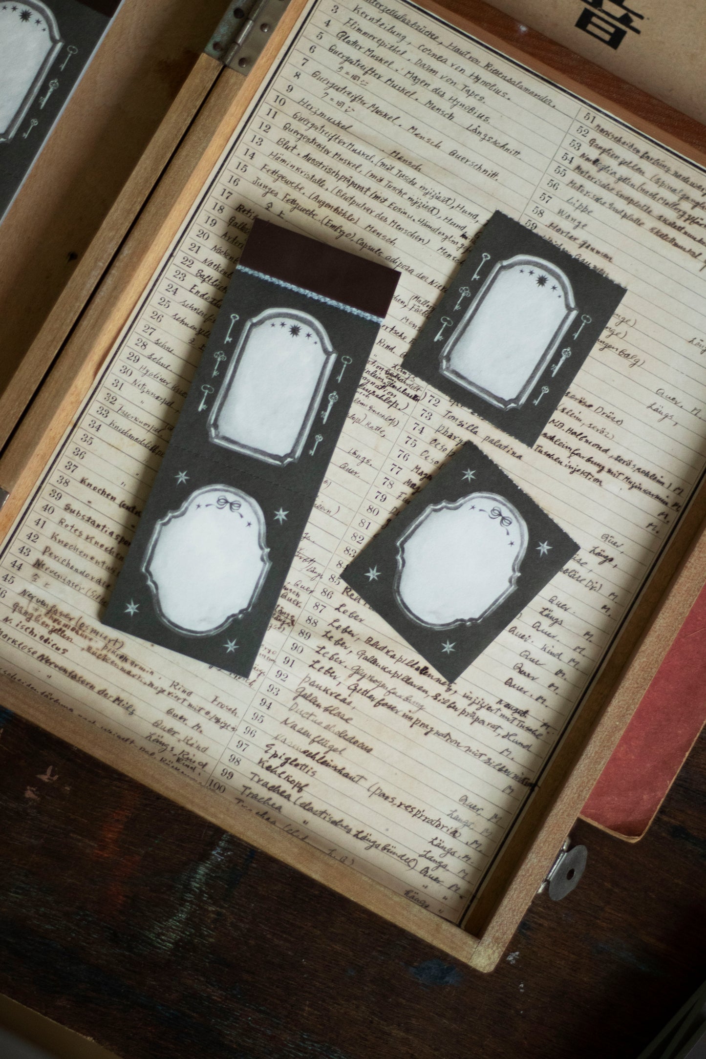 Loidesign Label Book - Witch's Inn