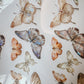 Meow Illustration Beautiful Butterfly PET Tape, with Iridescent Effect, 50mm