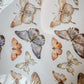 One Loop Sample - Meow Illustration Beautiful Butterfly PET Tape, with Iridescent Effect