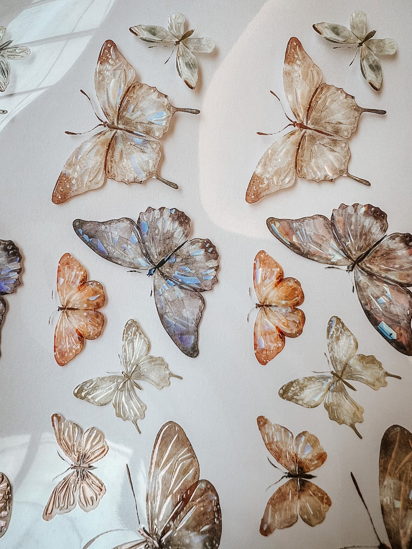 One Loop Sample - Meow Illustration Beautiful Butterfly PET Tape, with Iridescent Effect