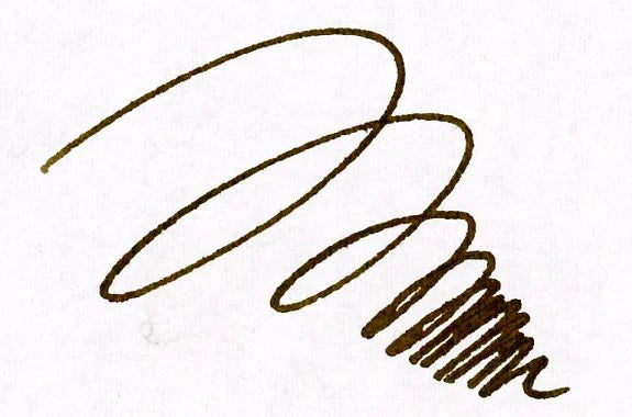 Nagasawa Kobe Bottled Ink - Ginza Gold Sepia, Special Collaboration