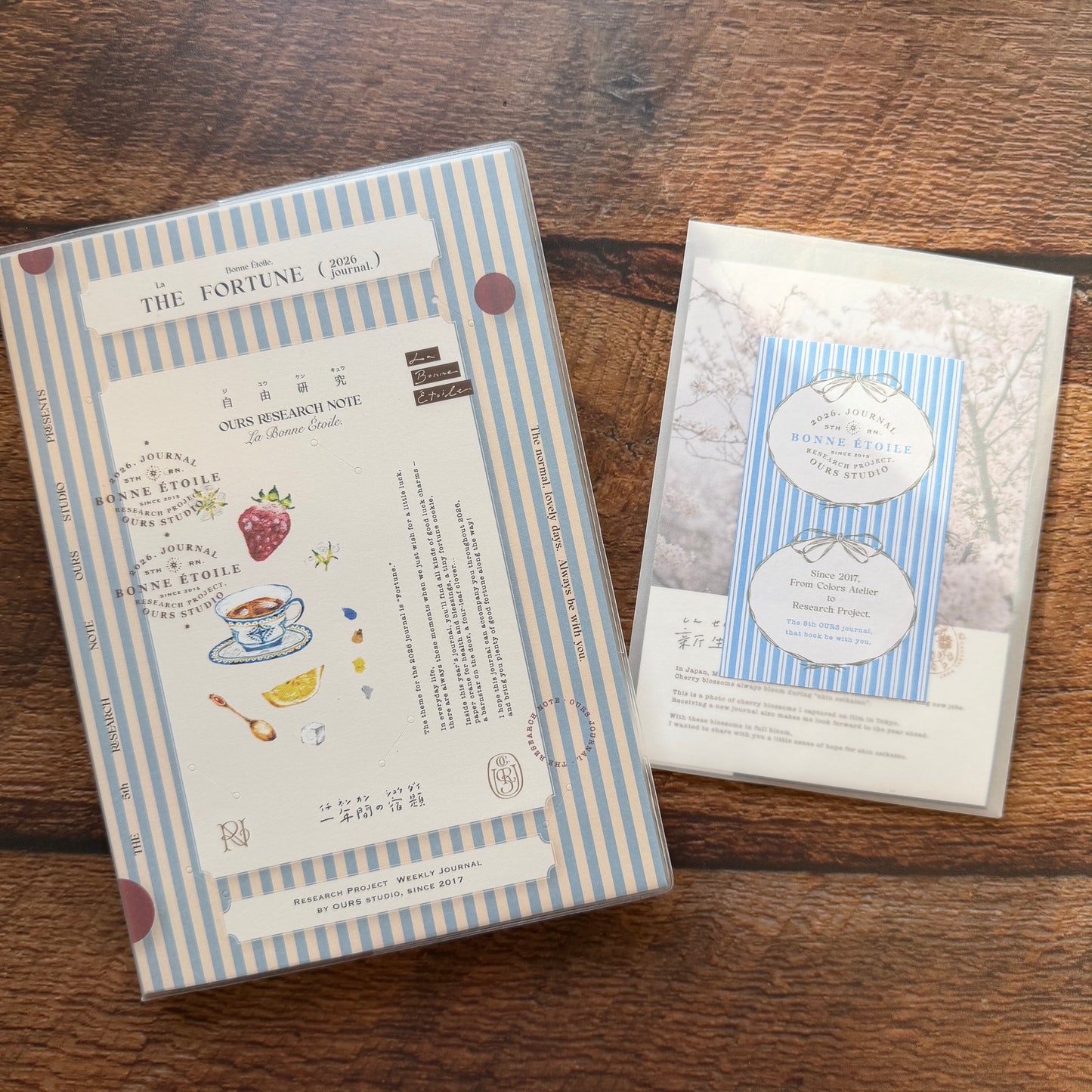 OURS 2026 "Research Project" Journal - The Fortune, Bumpy Ride Edition 1