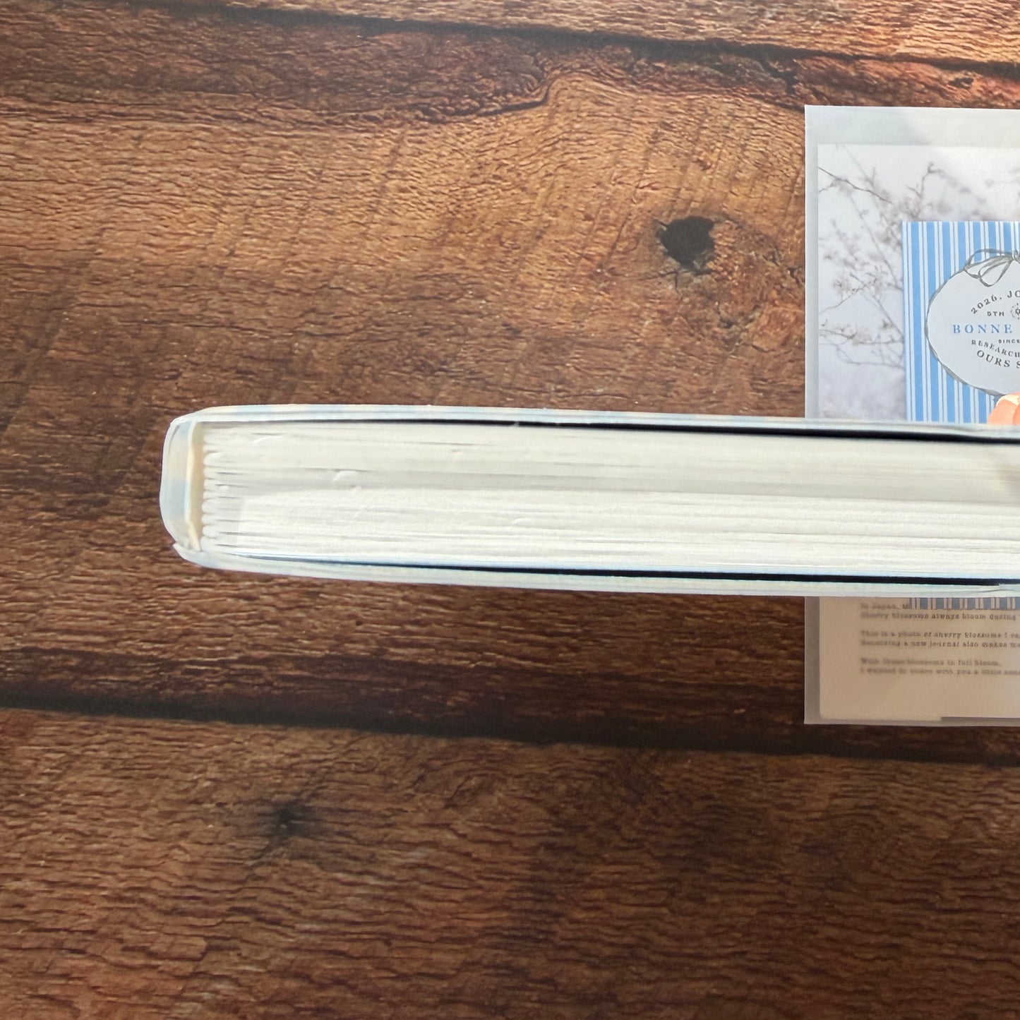 OURS 2026 "Research Project" Journal - The Fortune, Bumpy Ride Edition 1