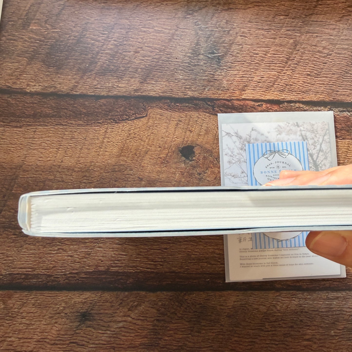 OURS 2026 "Research Project" Journal - The Fortune, Bumpy Ride Edition 1