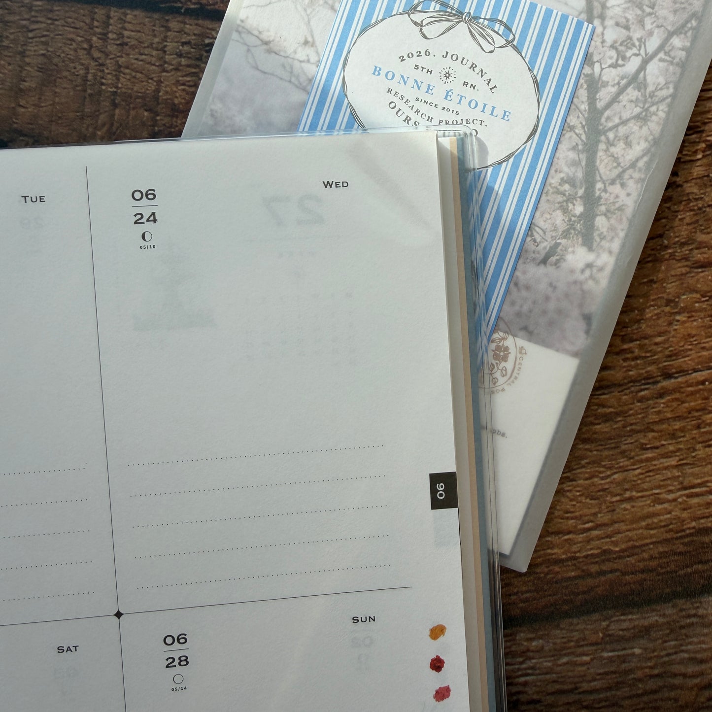 OURS 2026 "Research Project" Journal - The Fortune, Bumpy Ride Edition 1