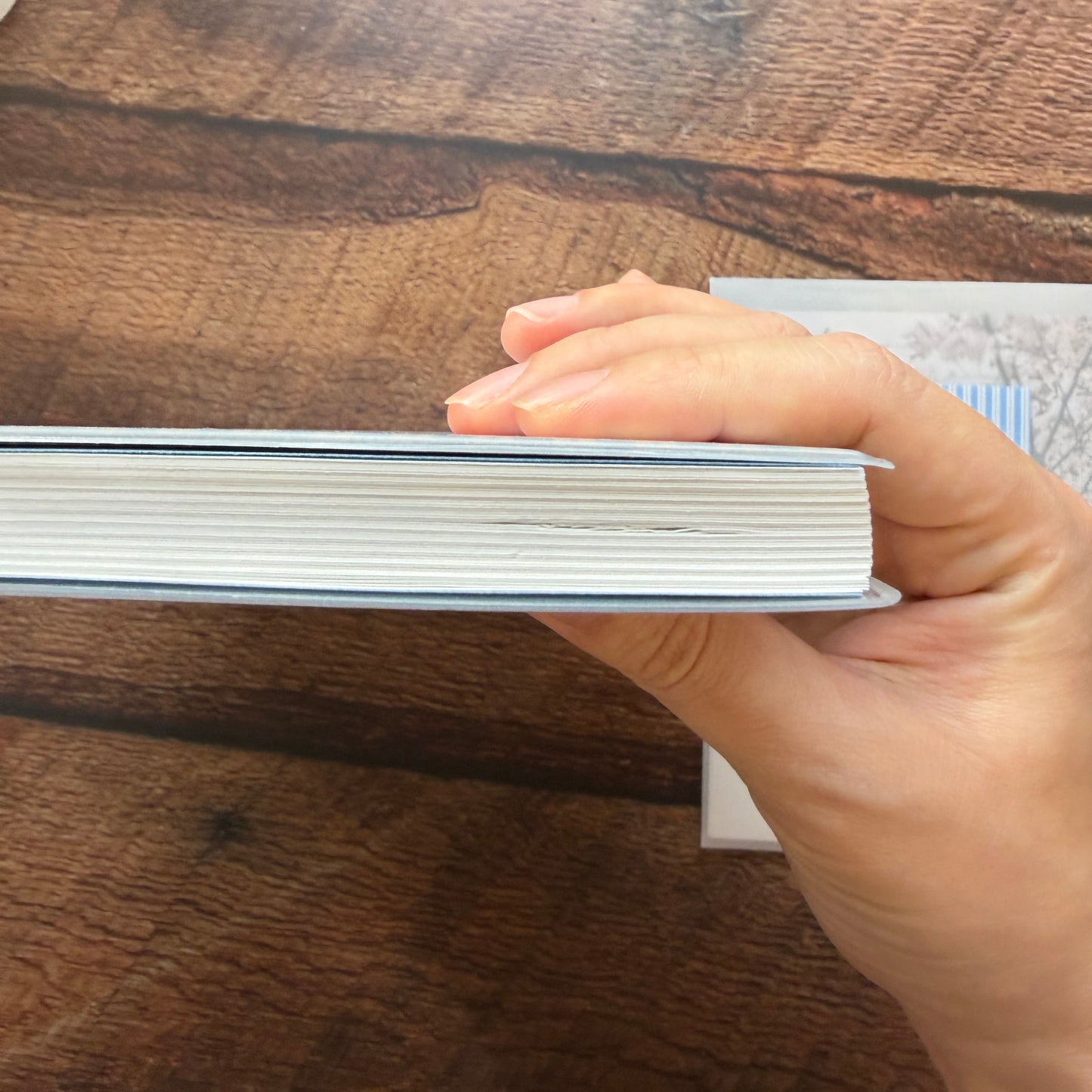 OURS 2026 "Research Project" Journal - The Fortune, Bumpy Ride Edition 2