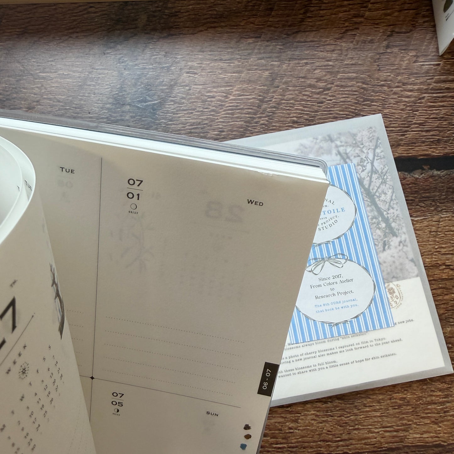 OURS 2026 "Research Project" Journal - The Fortune, Bumpy Ride Edition 2