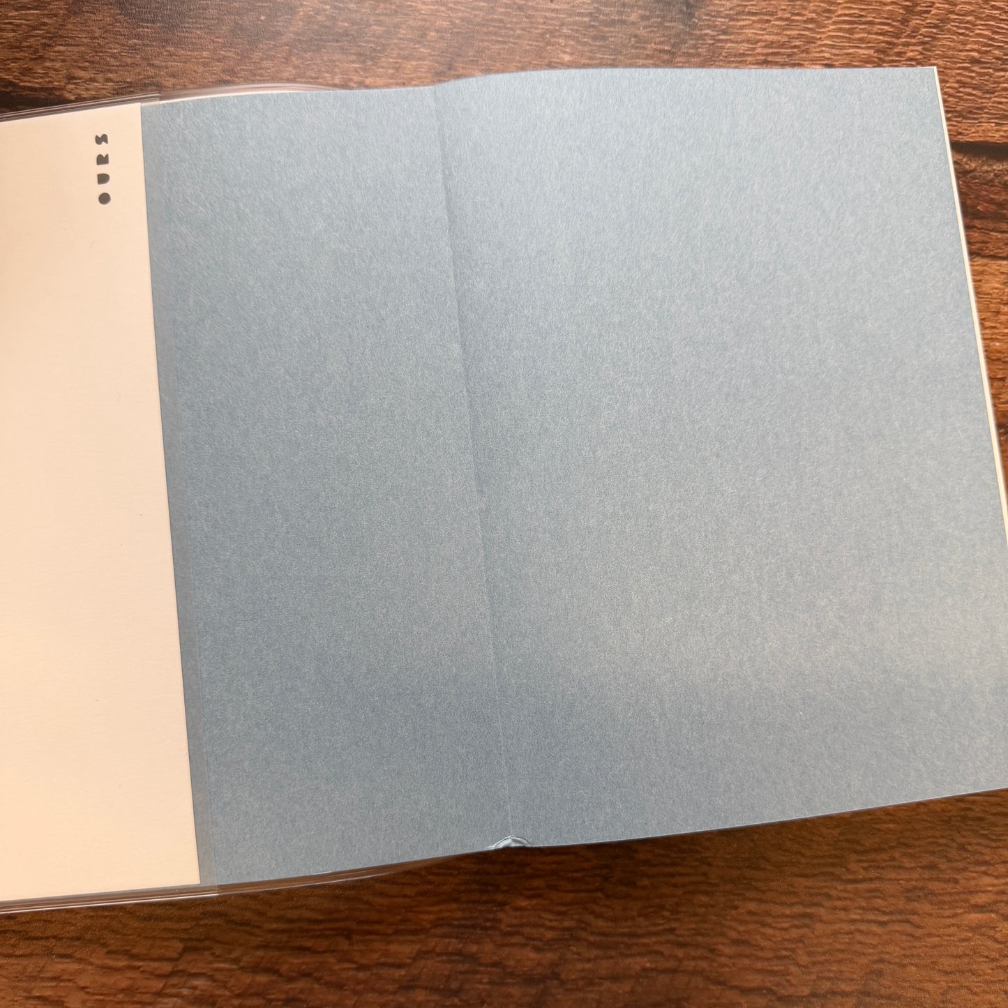 OURS 2026 "Research Project" Journal - The Fortune, Bumpy Ride Edition 3