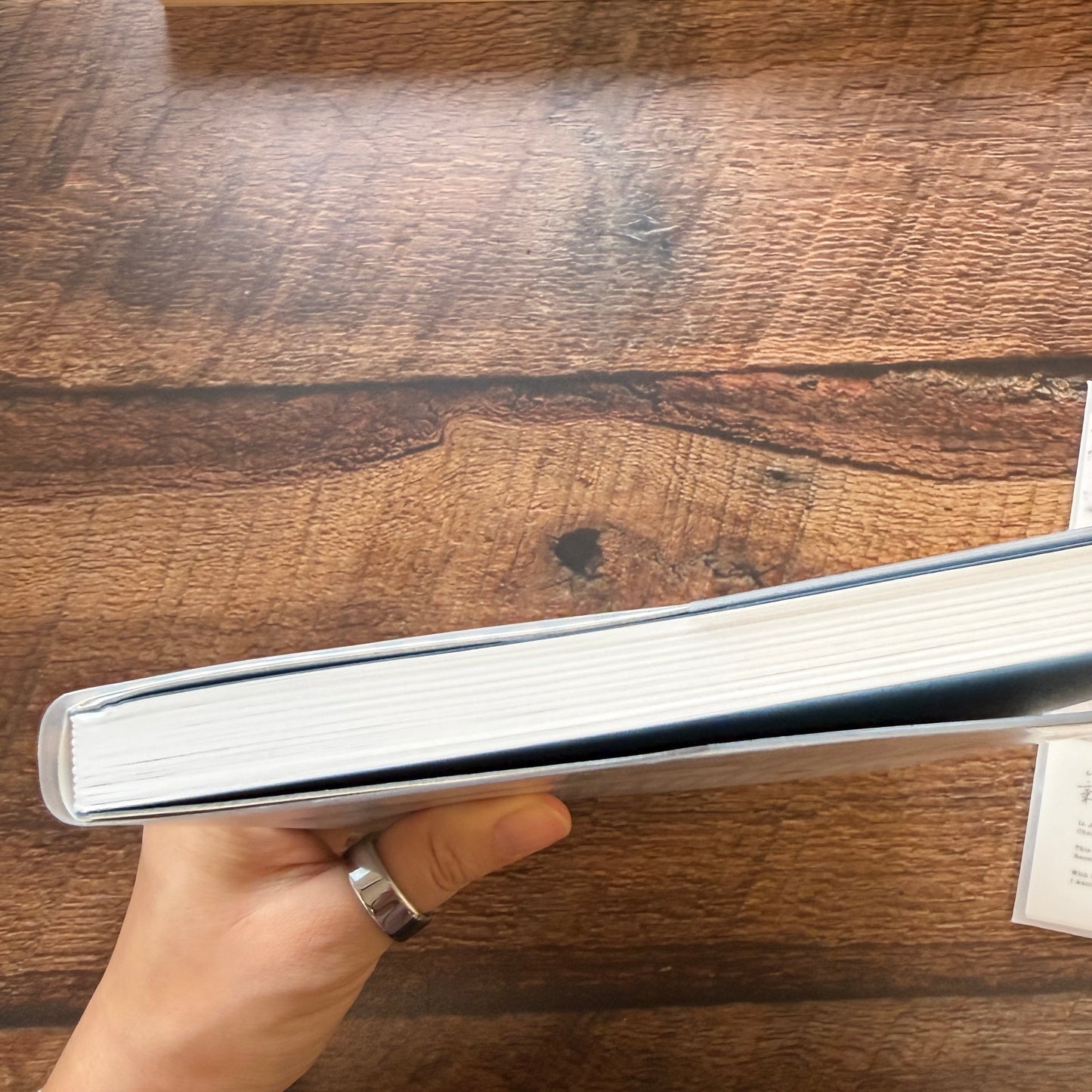 OURS 2026 "Research Project" Journal - The Fortune, Bumpy Ride Edition 3