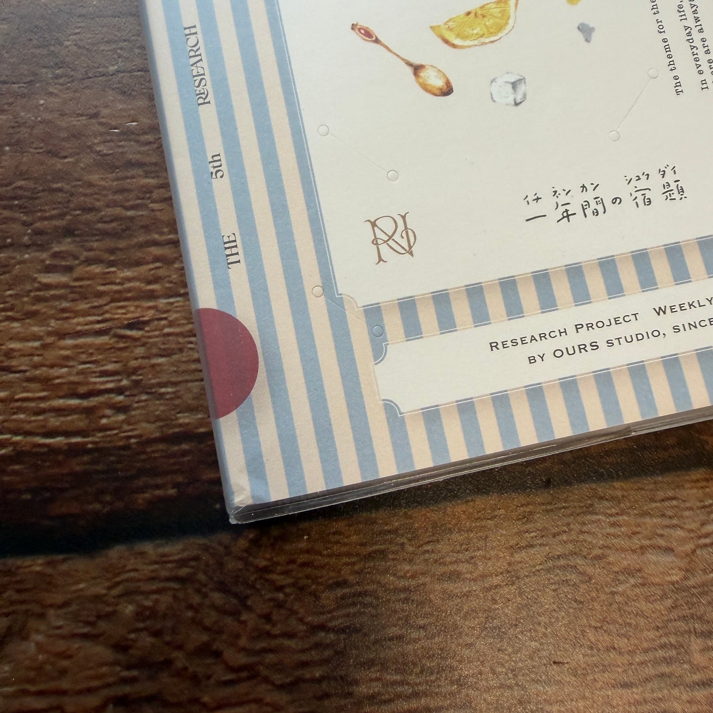 OURS 2026 "Research Project" Journal - The Fortune, Bumpy Ride Edition 4