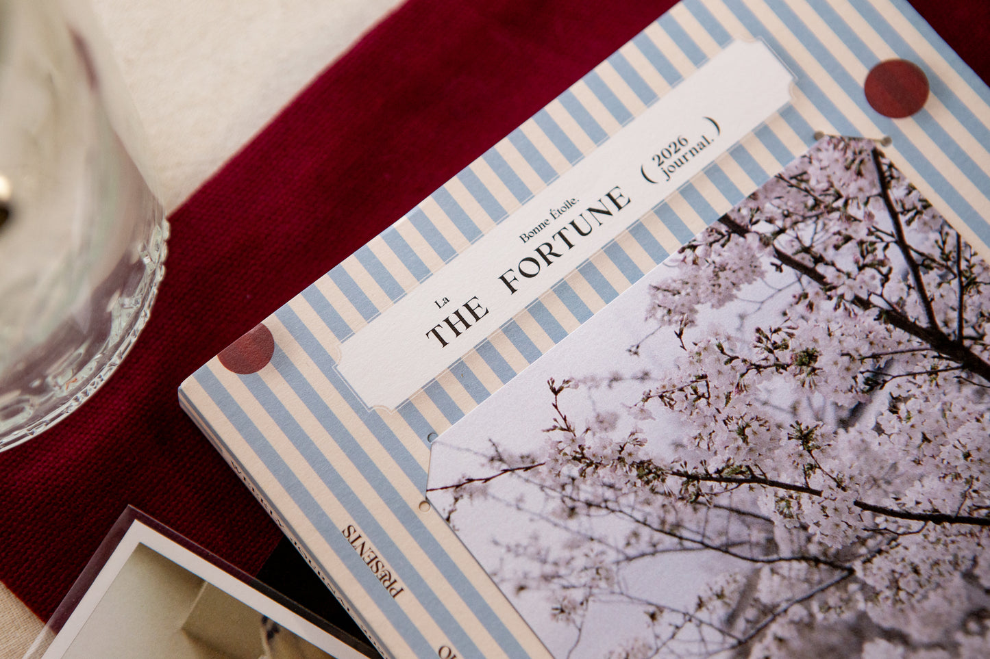 OURS 2026 "Research Project" Journal - The Fortune