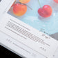 OURS 2027 "Research Project" Journal - The Reunion (Pre-order Only, Shipping ETA in Late October)