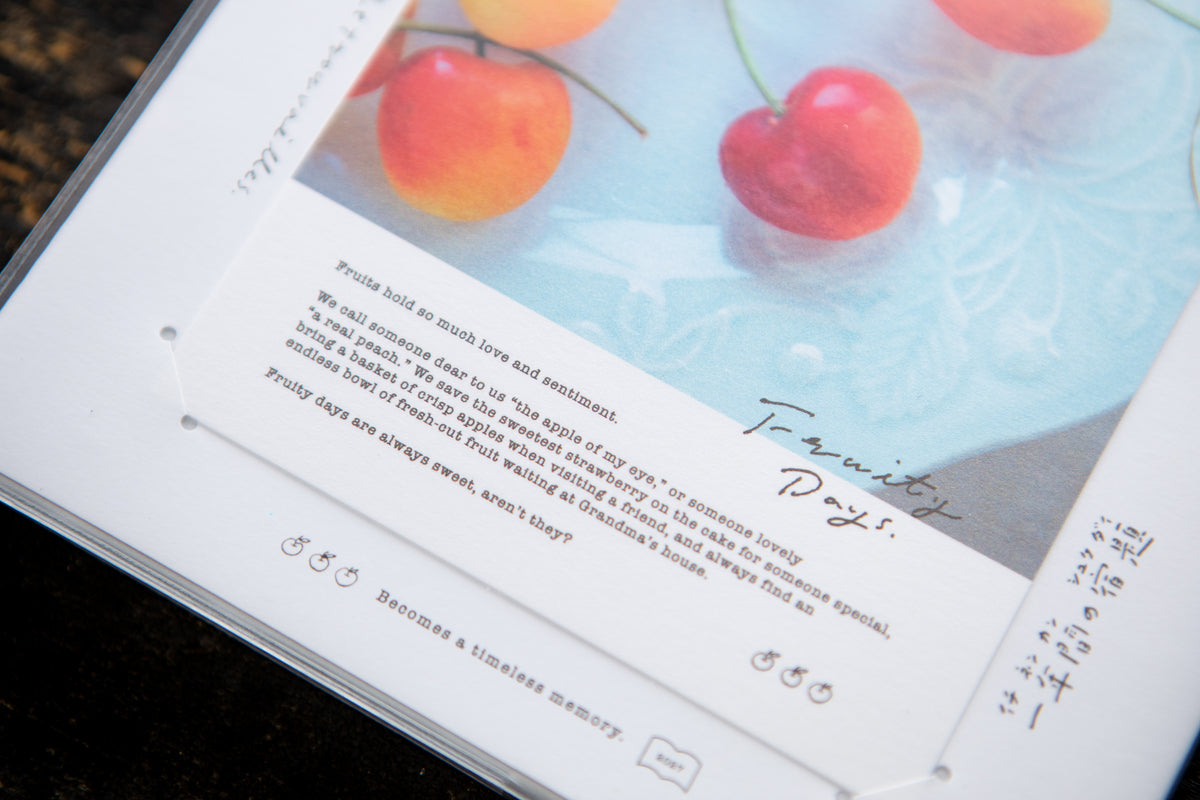 OURS 2027 "Research Project" Journal - The Reunion (Pre-order Only, Shipping ETA in Late October)