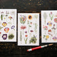 OURS Les Fleurs Print-on Sticker Set, 3 designs