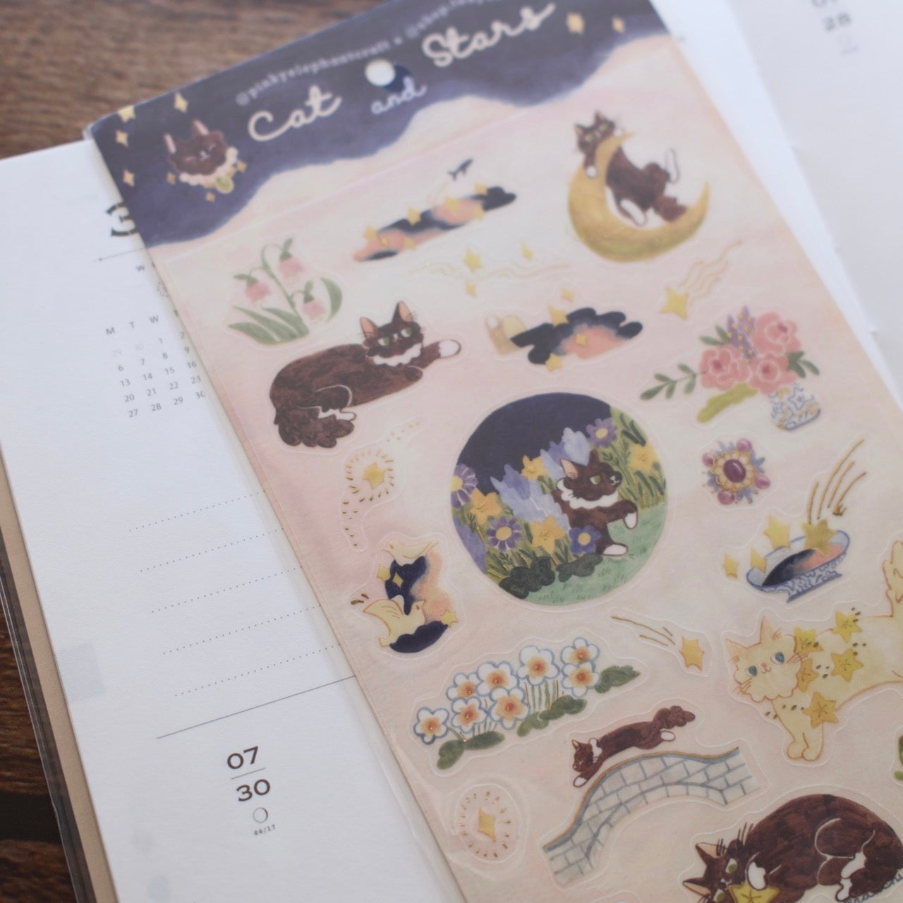 Teayou x Pinky Elephant Gold Foil Sticker Sheet - Cat and Stars