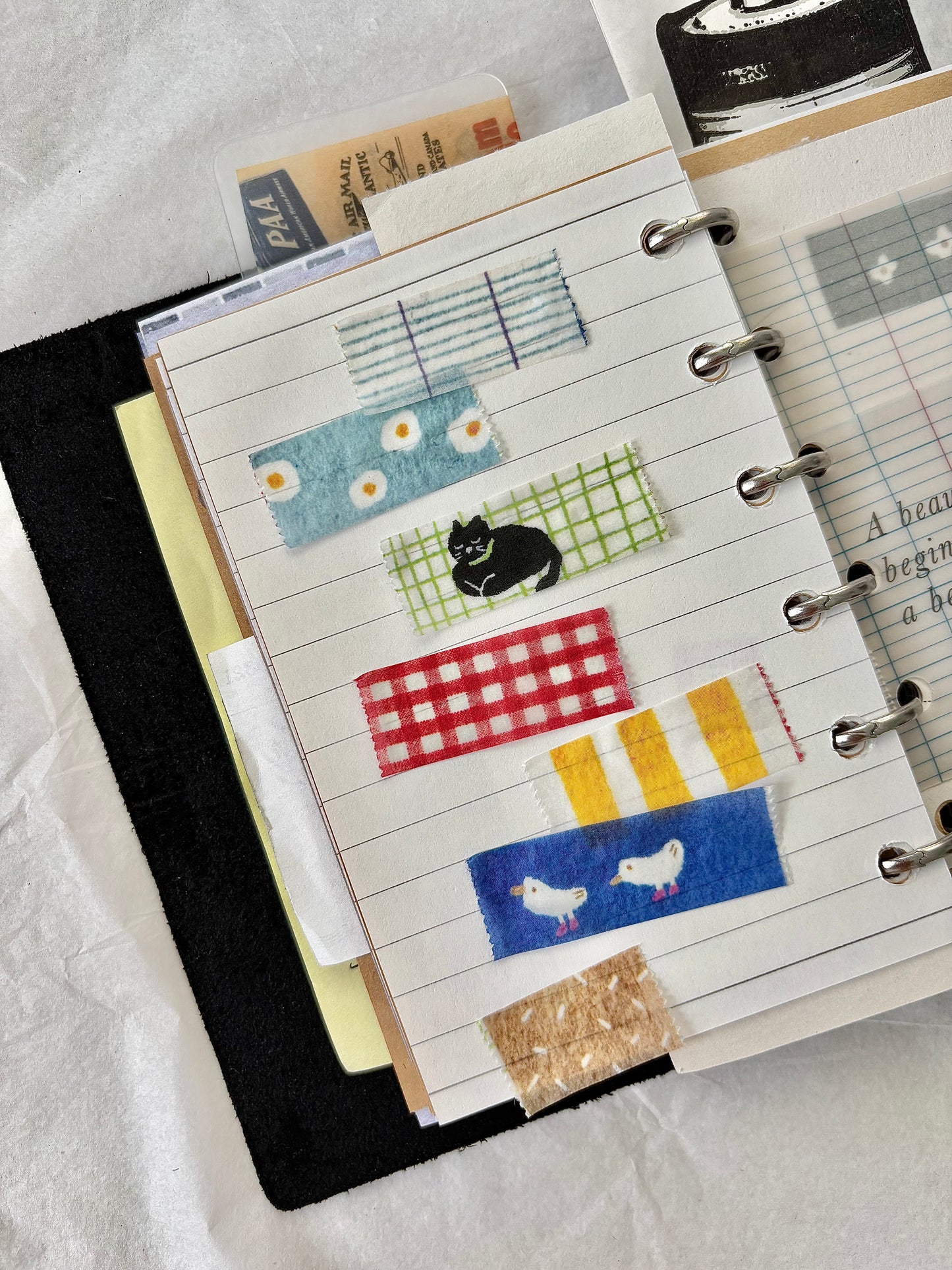 Pion Slim Washi Tape, Cat on the Rug, 2 designs