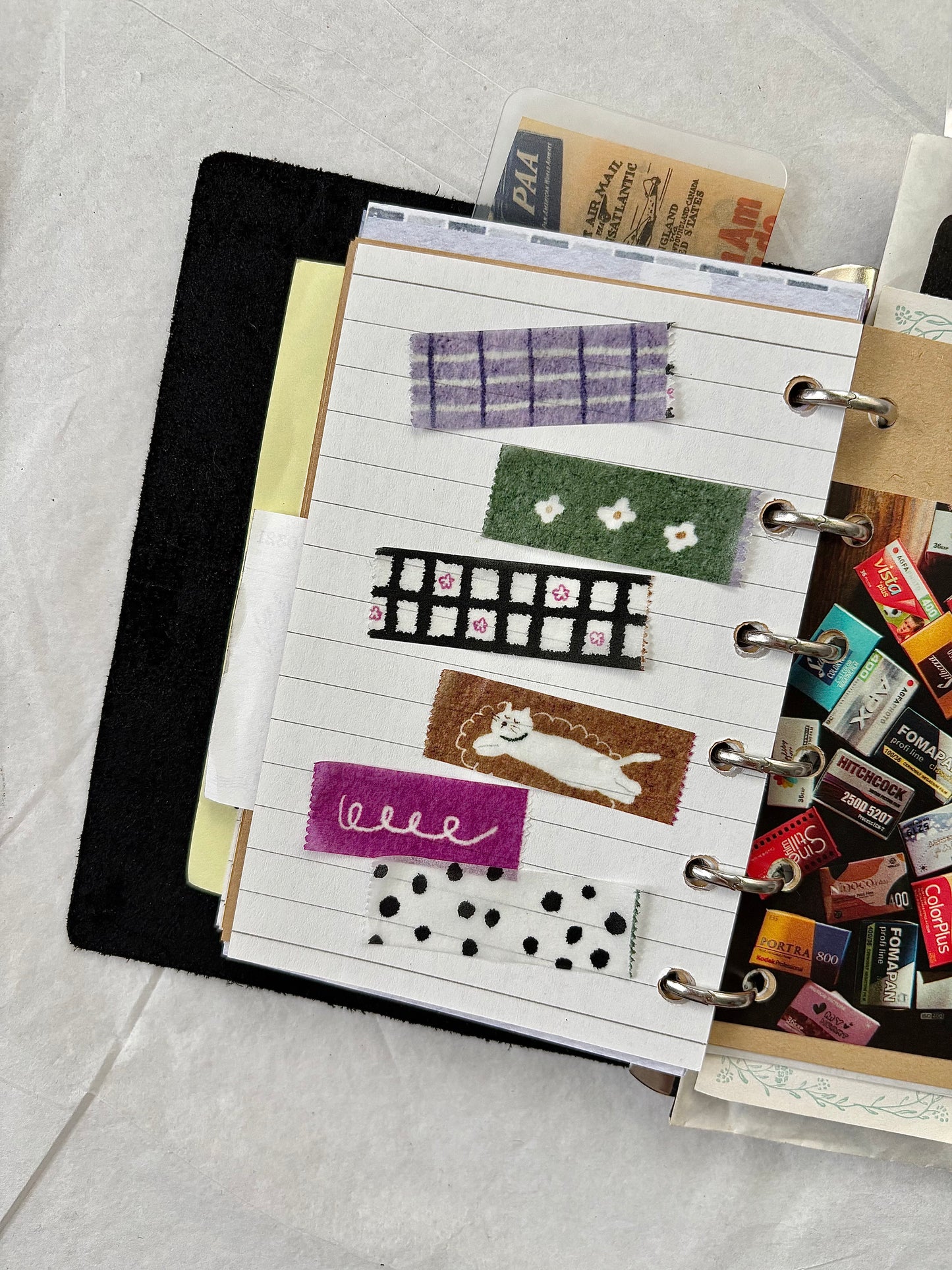 Pion Slim Washi Tape, Cat on the Rug, 2 designs