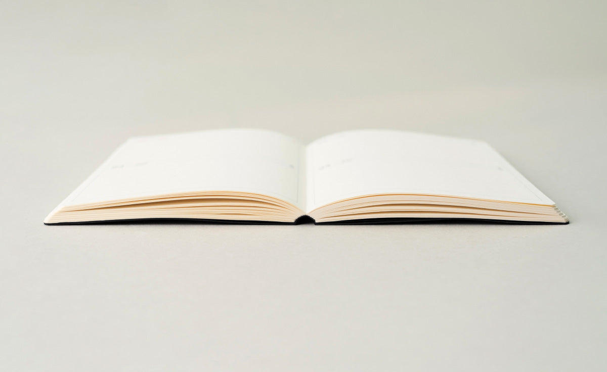 Point Of View 2026 Diary Duo Book