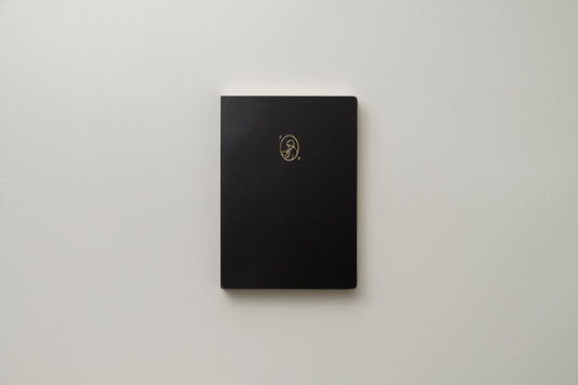 Point Of View 2027 Diary Duo Book