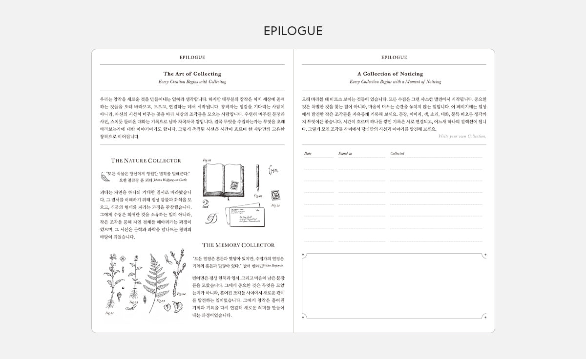 Point Of View 2027 Diary Duo Book