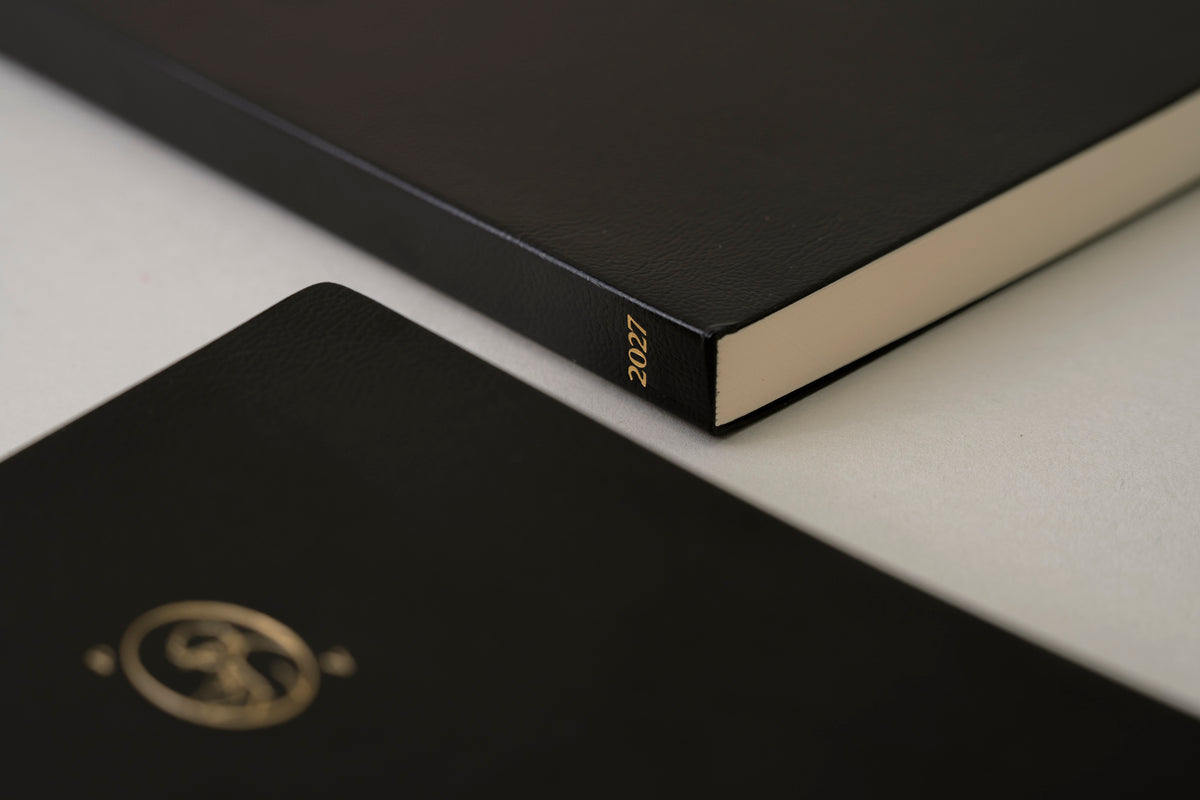 Point Of View 2027 Diary Duo Book