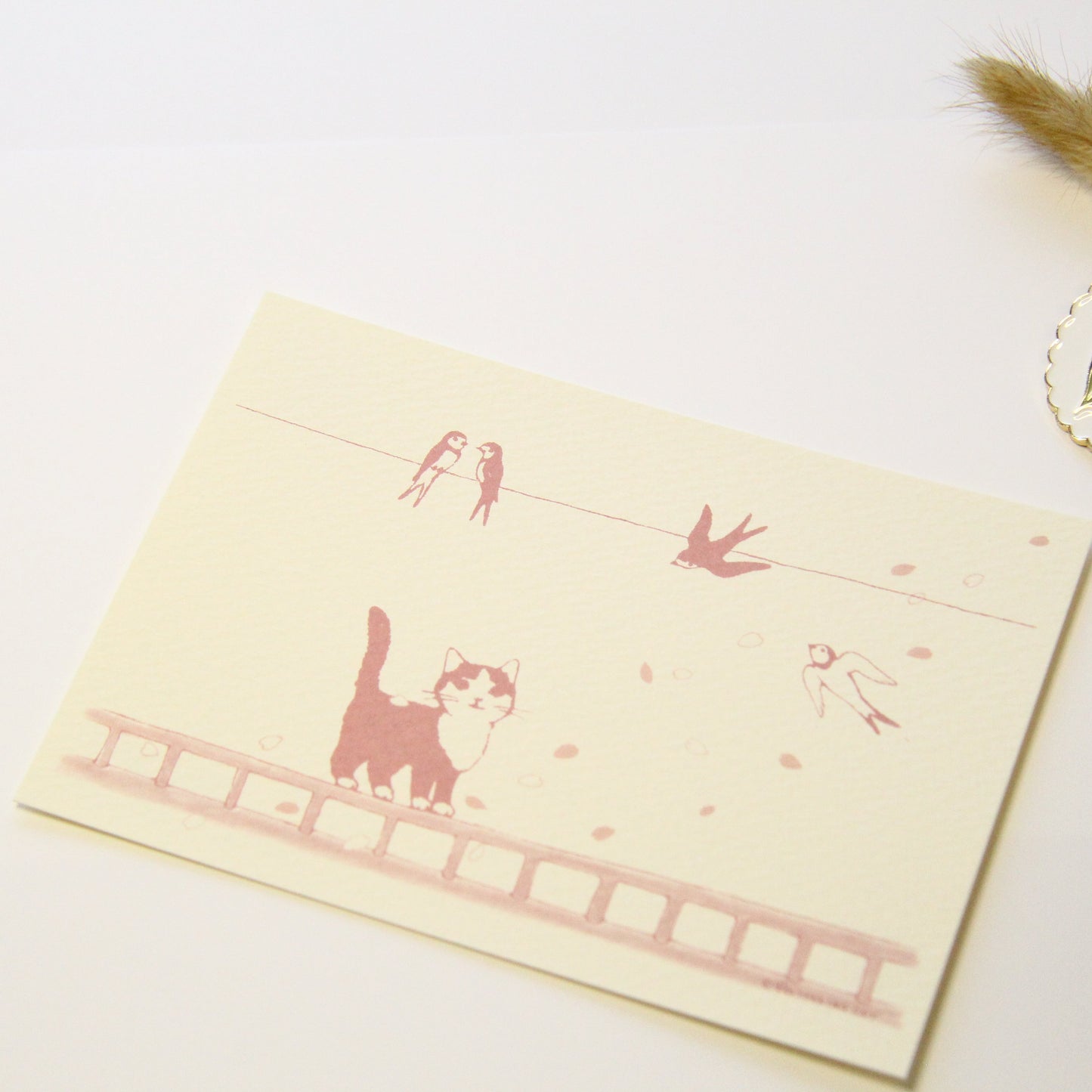 Pottering Cat Seasonal Post Card - April (Cherry Blossom)